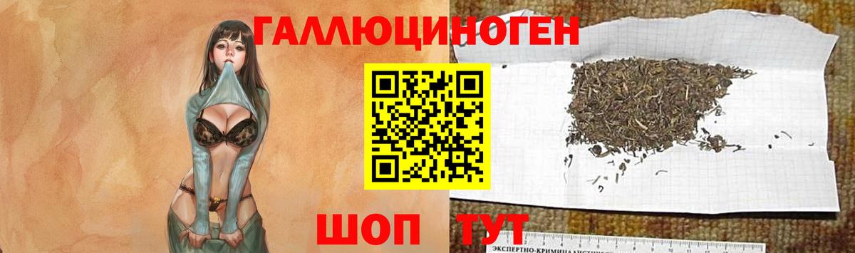 Псилоцибиновые грибы GOLDEN TEACHER Уфа